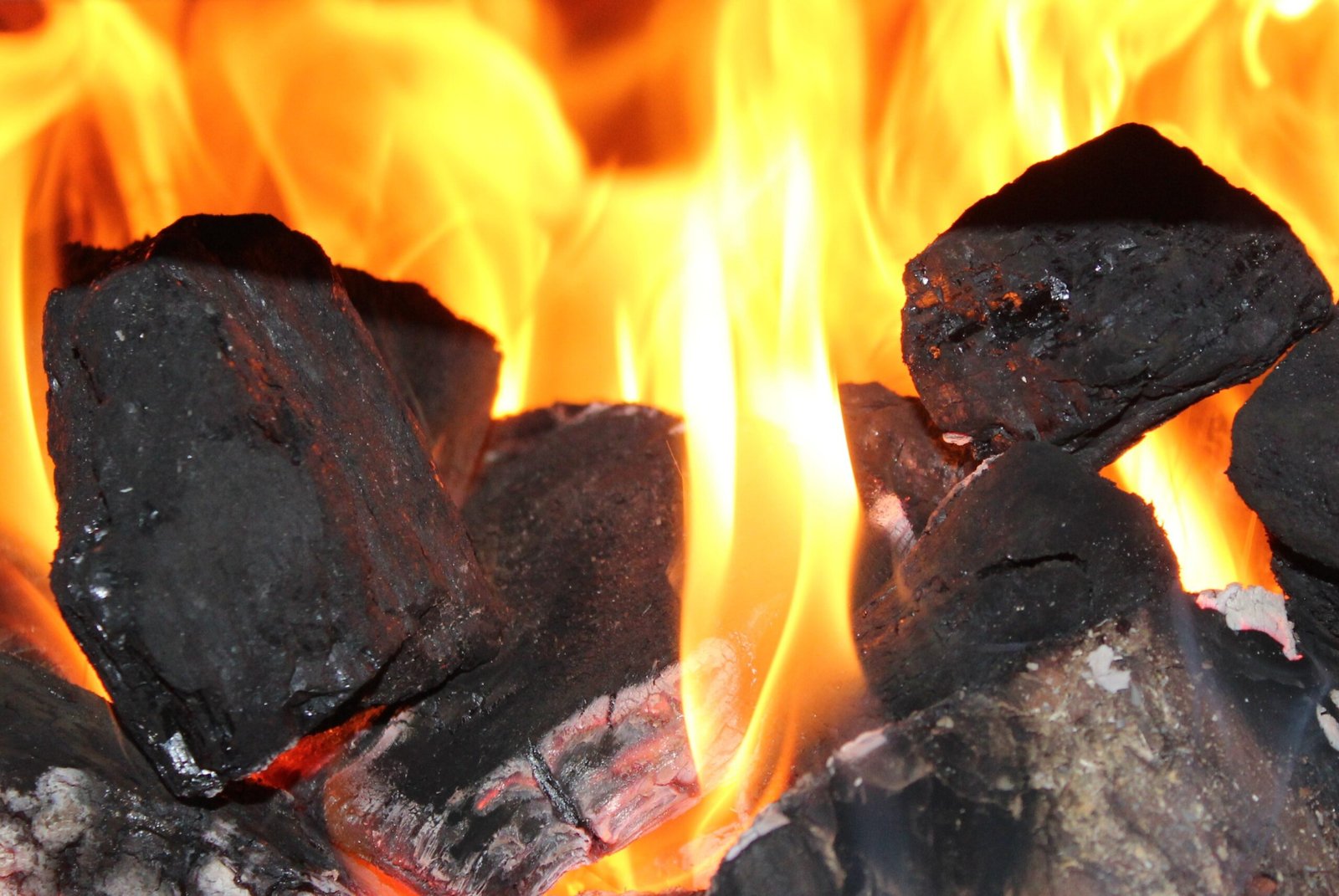 Coal