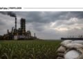 India’s Harvest Under Duress: What Is the Way Out?
